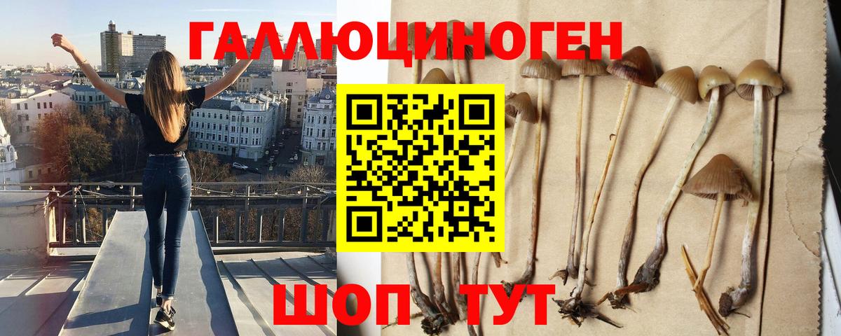 Ливны  Галлюциногенные грибы Magic Shrooms  Вход с VPN 