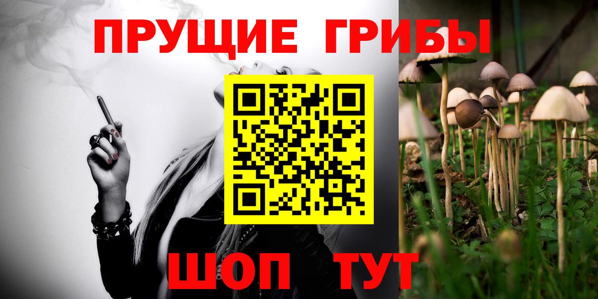 Галлюциногенные грибы прущие грибы Ливны