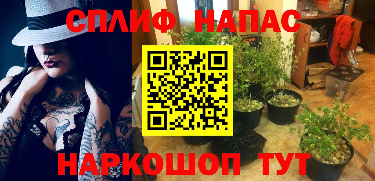 Каннабис индика  Каннабис Ganja  Вход с VPN  Ливны 